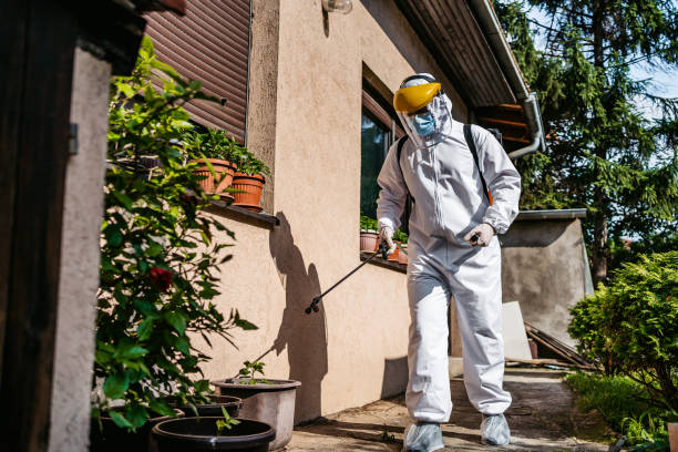 Best Best Pest Control Companies  in Grandview, OH