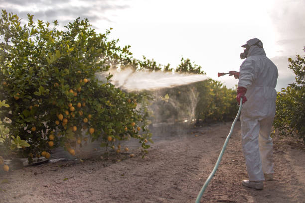 Best Affordable Pest Control Services  in Grandview, OH