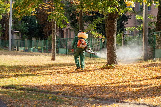 Best Local Pest Control Services  in Grandview, OH