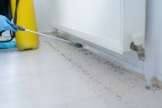 Best Mosquito Control Services  in Grandview, OH